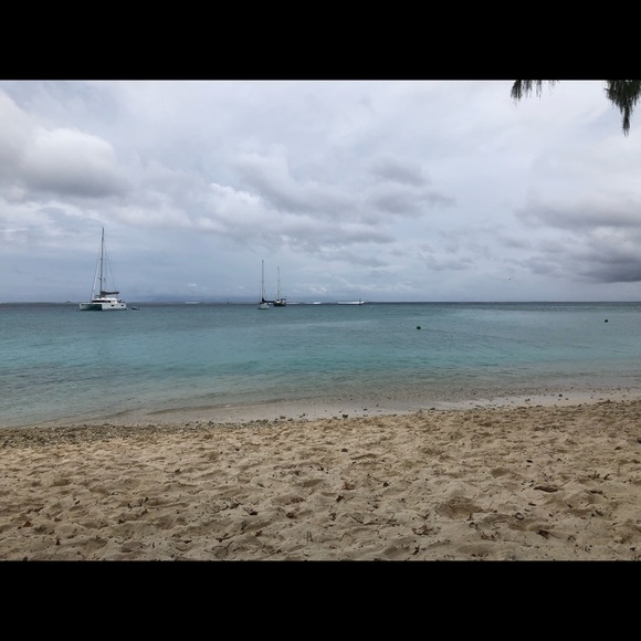 Meet your Posher, CJ - Picture 1 of 3